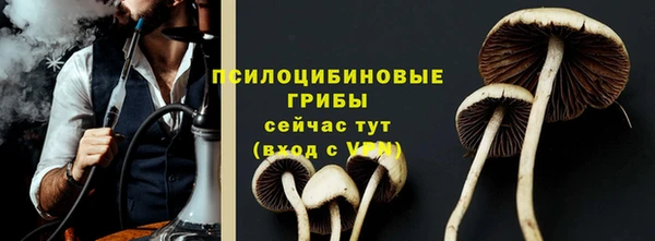 mdpv Бронницы