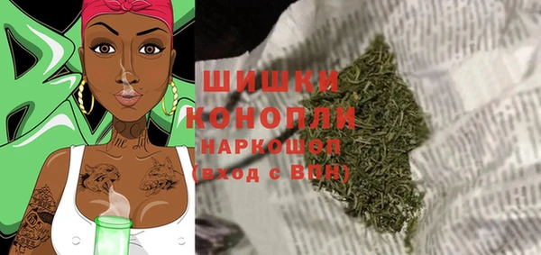 spice Богданович