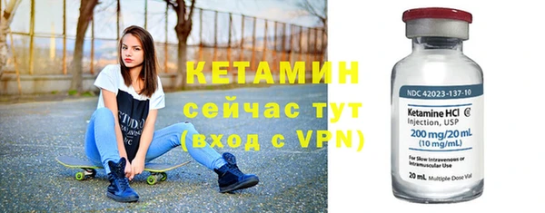 прущие грибы Наволоки