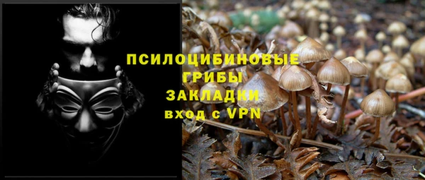 ALPHA PVP Бородино