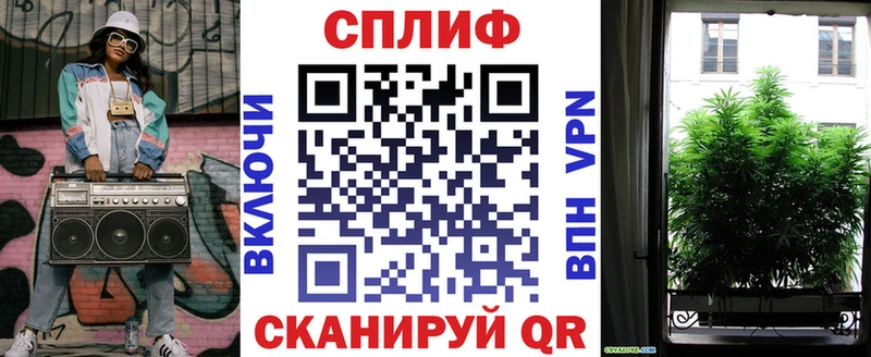 Каннабис план  закладки  Городовиковск 
